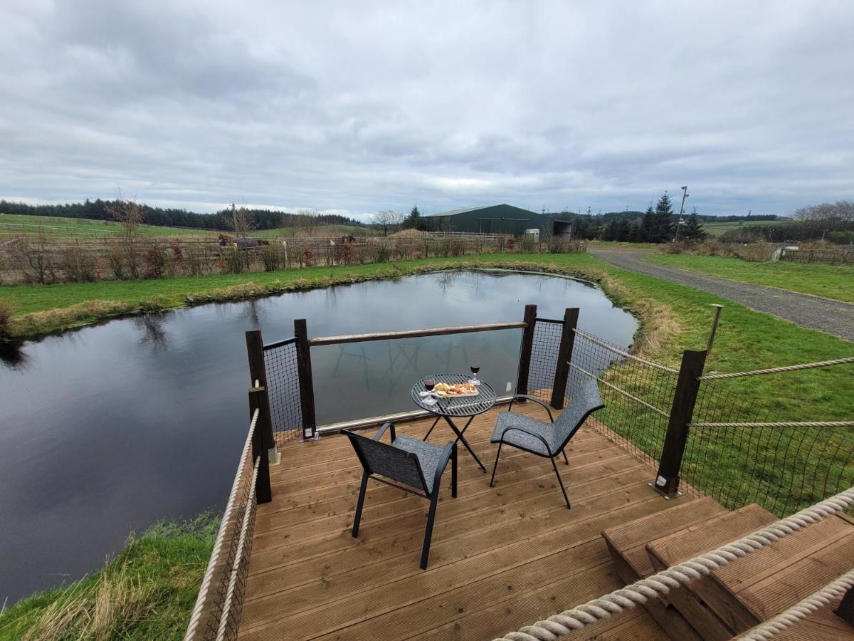 The Cabin At Forestview Farm Greenisland Exterior photo